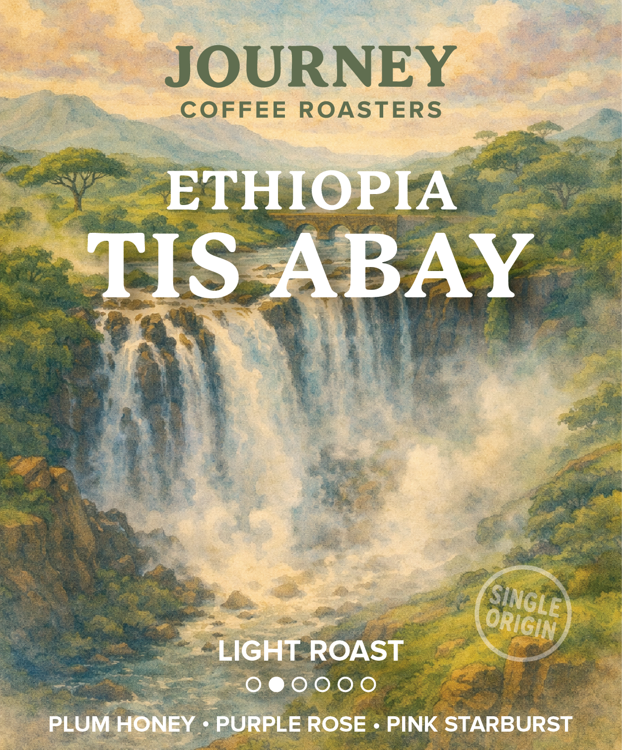 Ethiopia Light Roast - Tis Abay